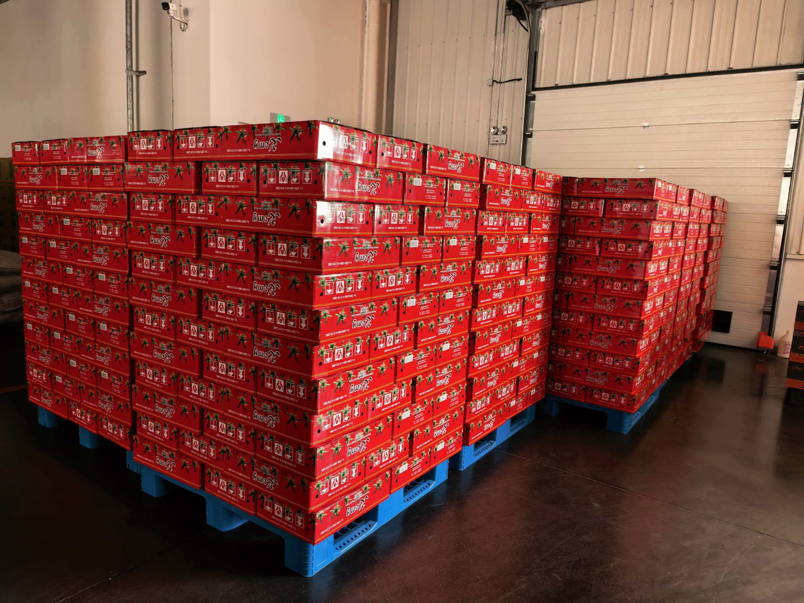 Entrepôt de distribution CITRAT SARL